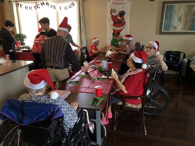 A PARENT'S PARADISE AND CARE LLC